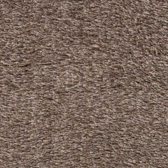 Brampton Modern Brown Area Rug