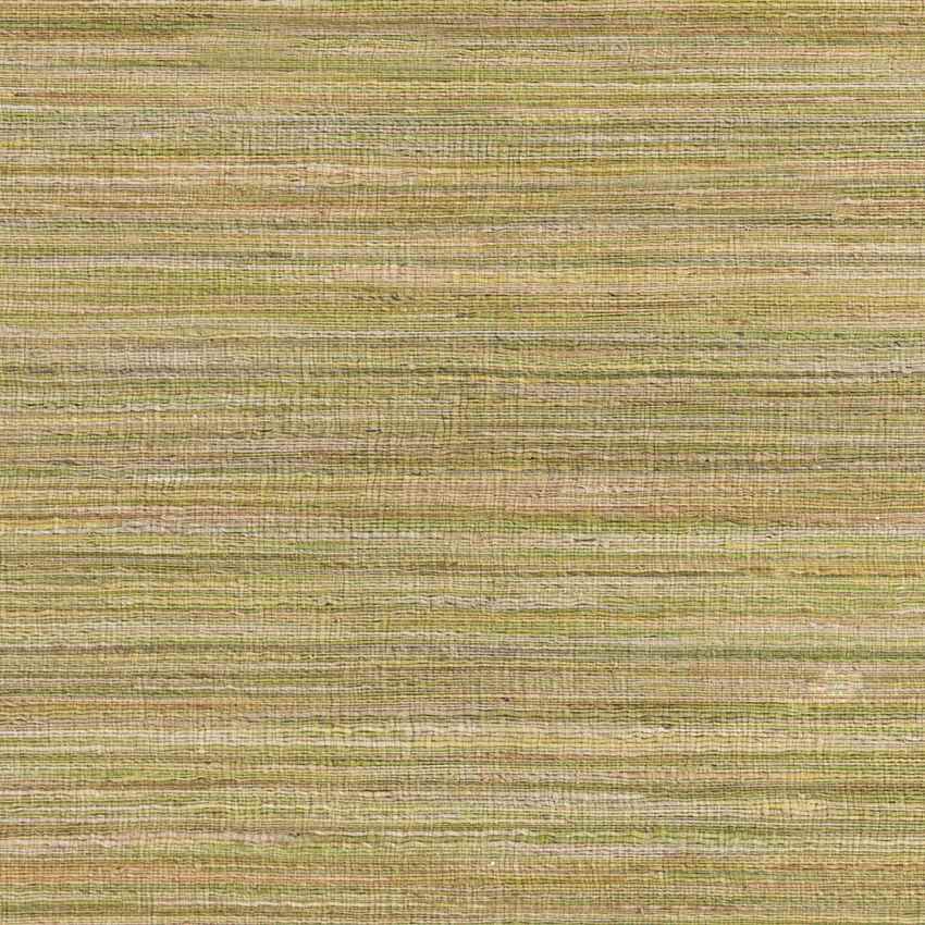 Petaluma Global Green/Beige Area Rug