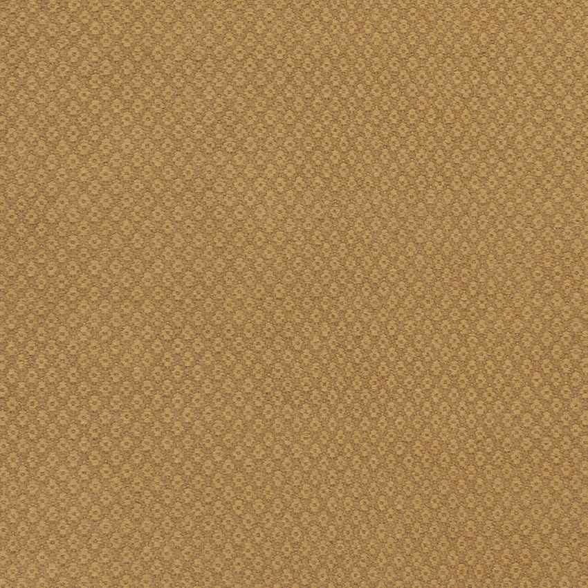 Tranise Cottage Gold Area Rug