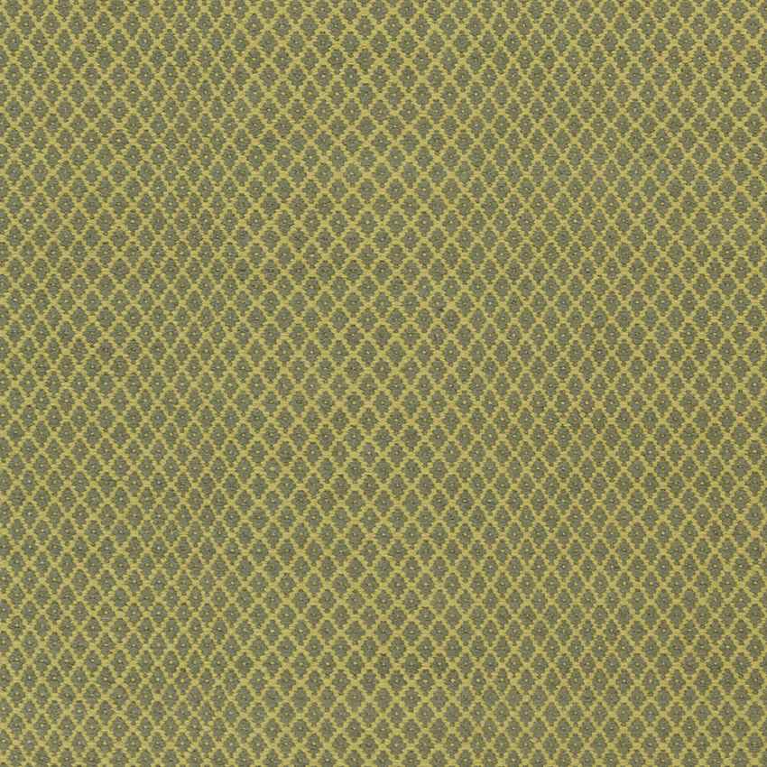 Tranise Cottage Lime Area Rug