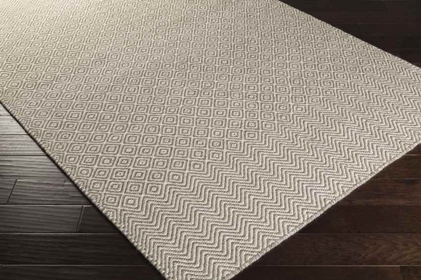 Rogersville Modern Light Gray Area Rug