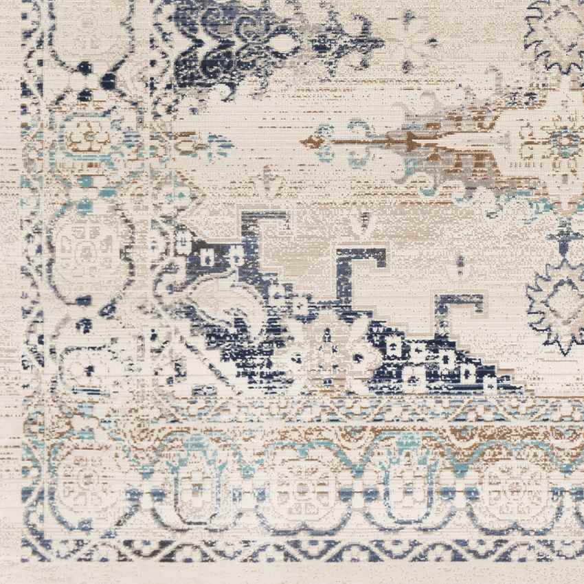 Burford Traditional Aqua Area Rug