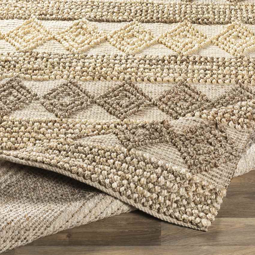 Chagford Global Camel Area Rug