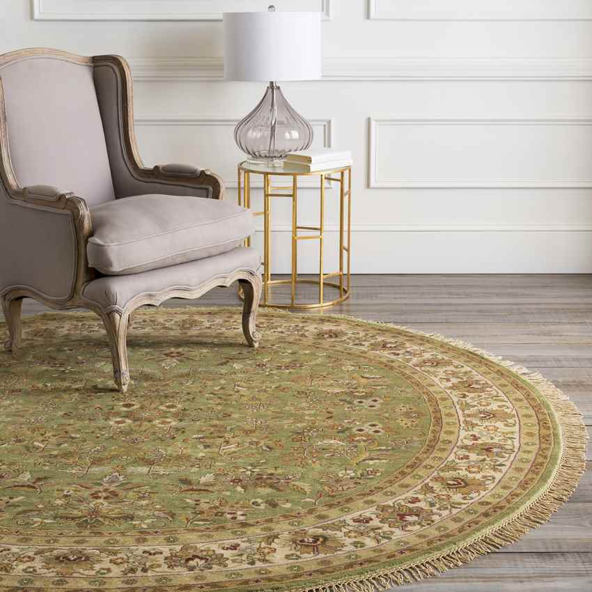 Volusia Traditional Olive Area Rug