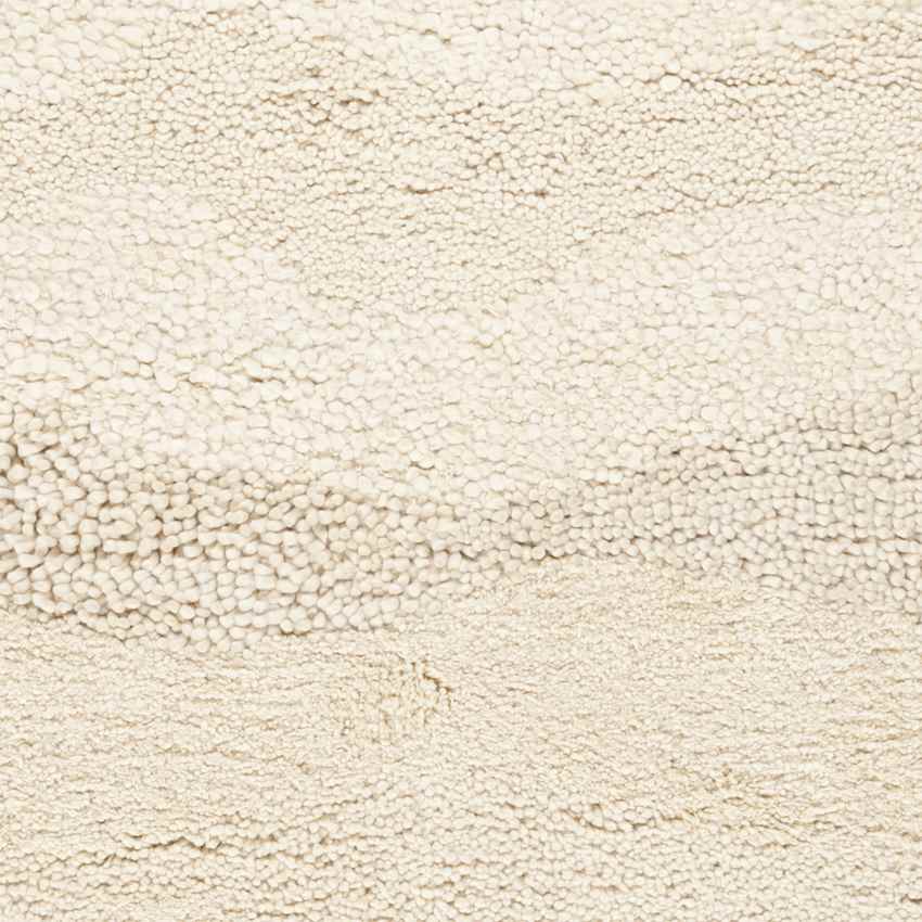 Westminster Modern Light Beige Area Rug