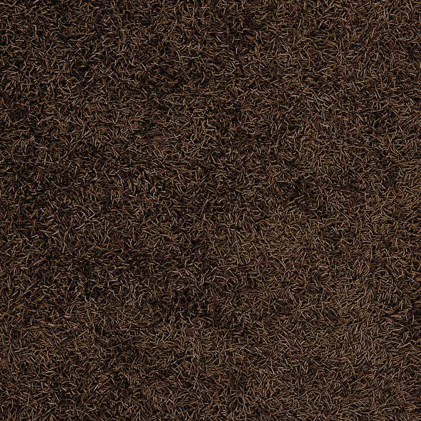 Corby Modern Dark Brown Area Rug