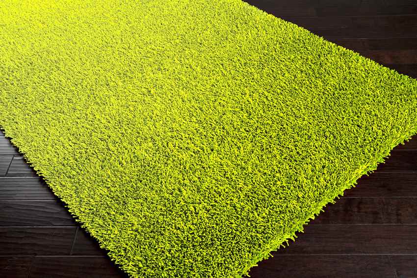 Corby Modern Lime Area Rug