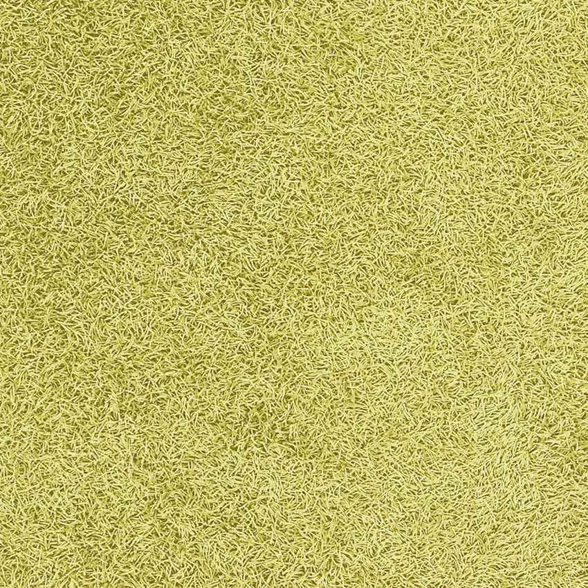 Corby Modern Lime Area Rug