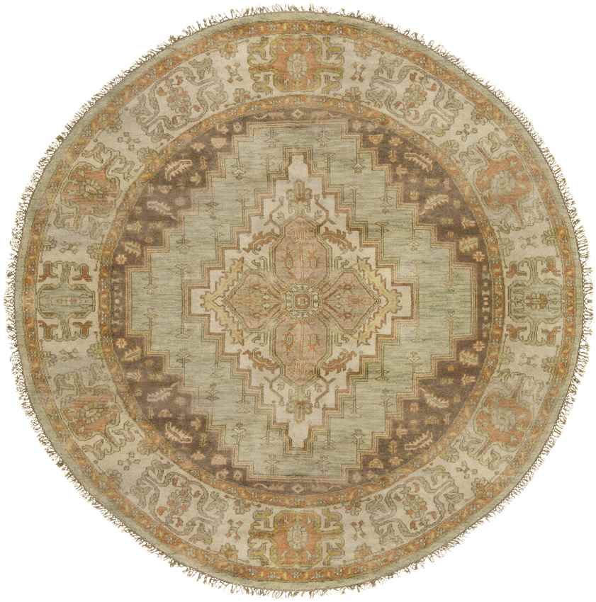 Antony Traditional Peach Area Rug