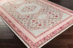Scafati Traditional Sea Foam Area Rug