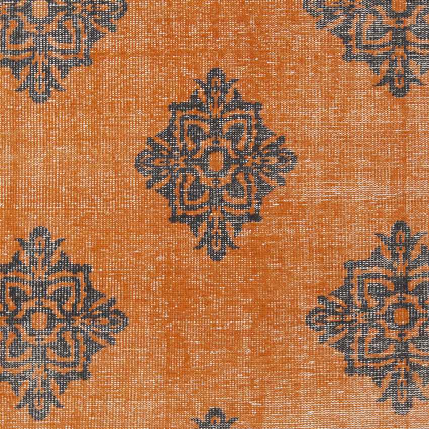 Benld Traditional Burnt Orange Area Rug
