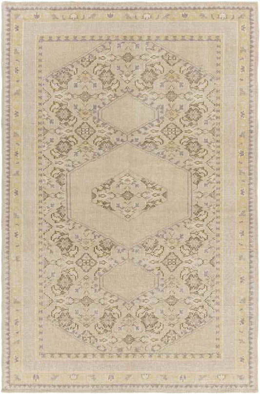 Scafati Traditional Beige Area Rug