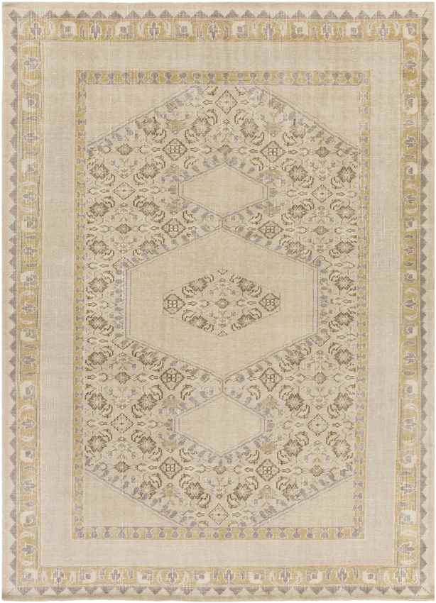Scafati Traditional Beige Area Rug