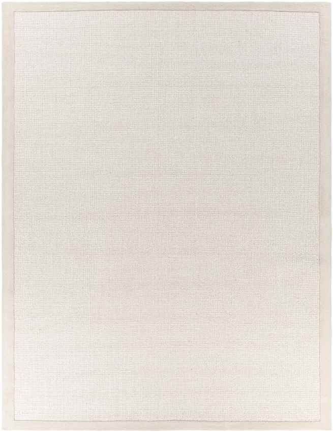 Earby Modern Light Gray Area Rug