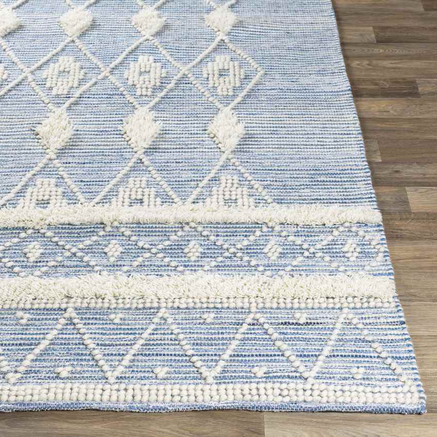 Loddon Global Sky Blue Area Rug