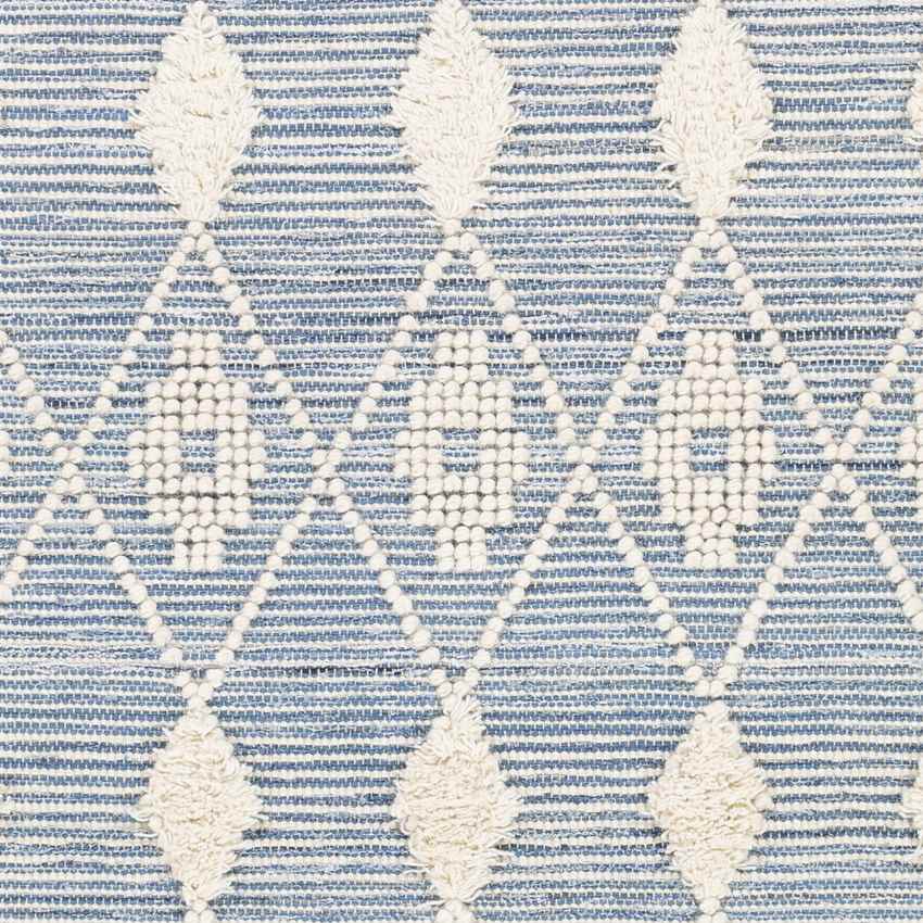 Loddon Global Sky Blue Area Rug