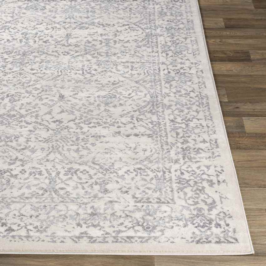 Beauvais Traditional Gray/Ivory Area Rug