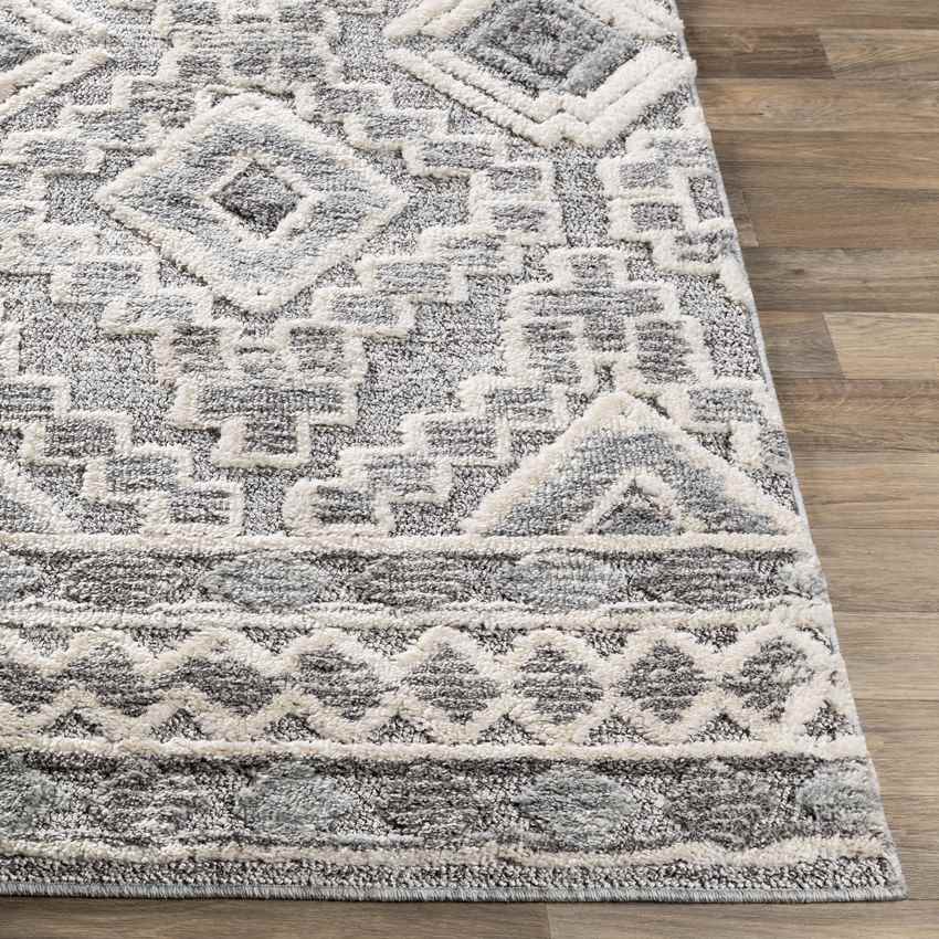 Sudbury Global Medium Gray Area Rug
