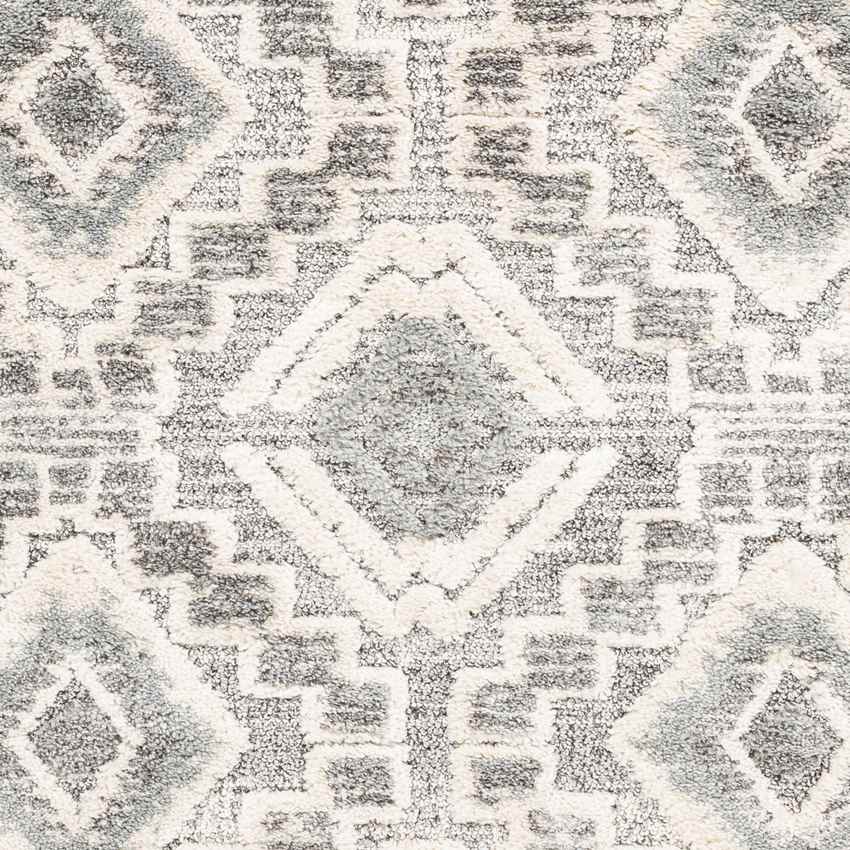 Sudbury Global Medium Gray Area Rug