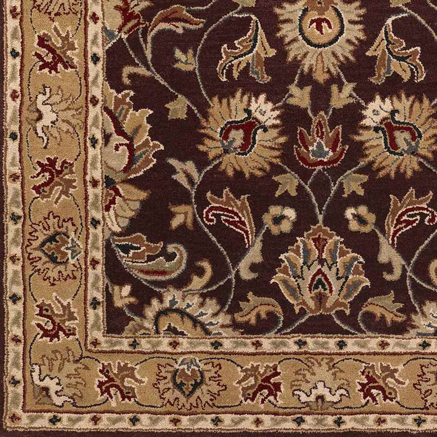 Paris Traditional Burgundy Area Rug