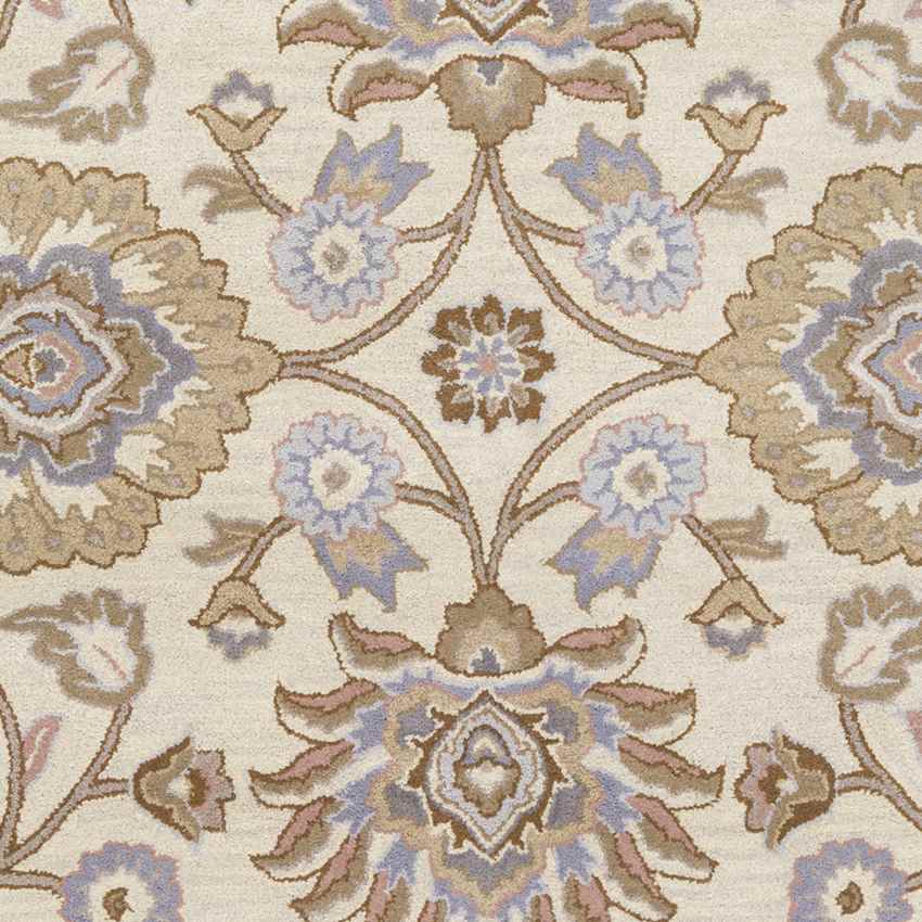 Eckville Traditional Cream Area Rug