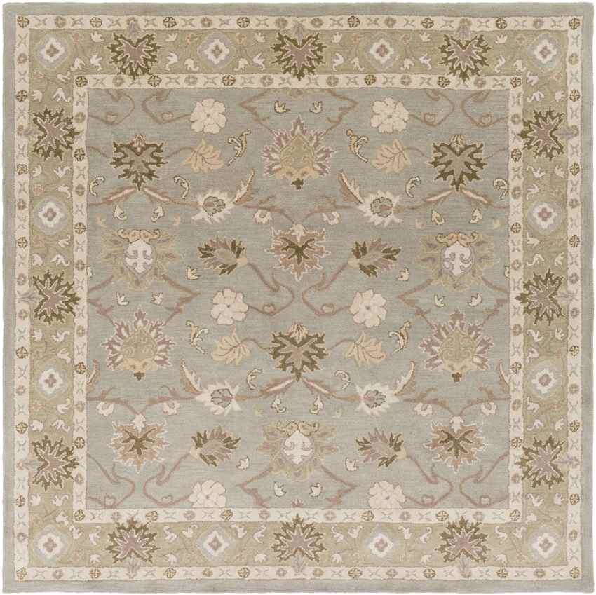 Didsbury Traditional Medium Gray Area Rug