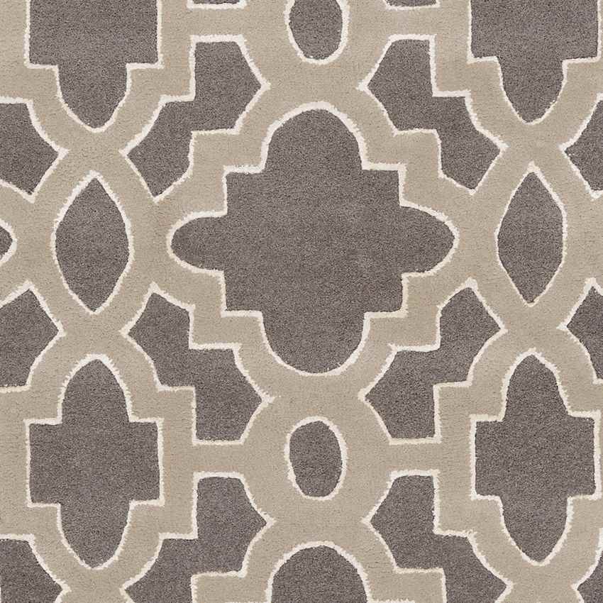 Aveyron Modern Medium Gray Area Rug