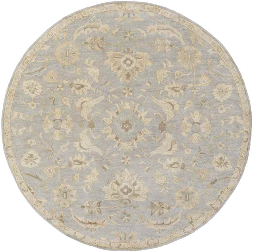 Caraquet Traditional Light Gray Area Rug