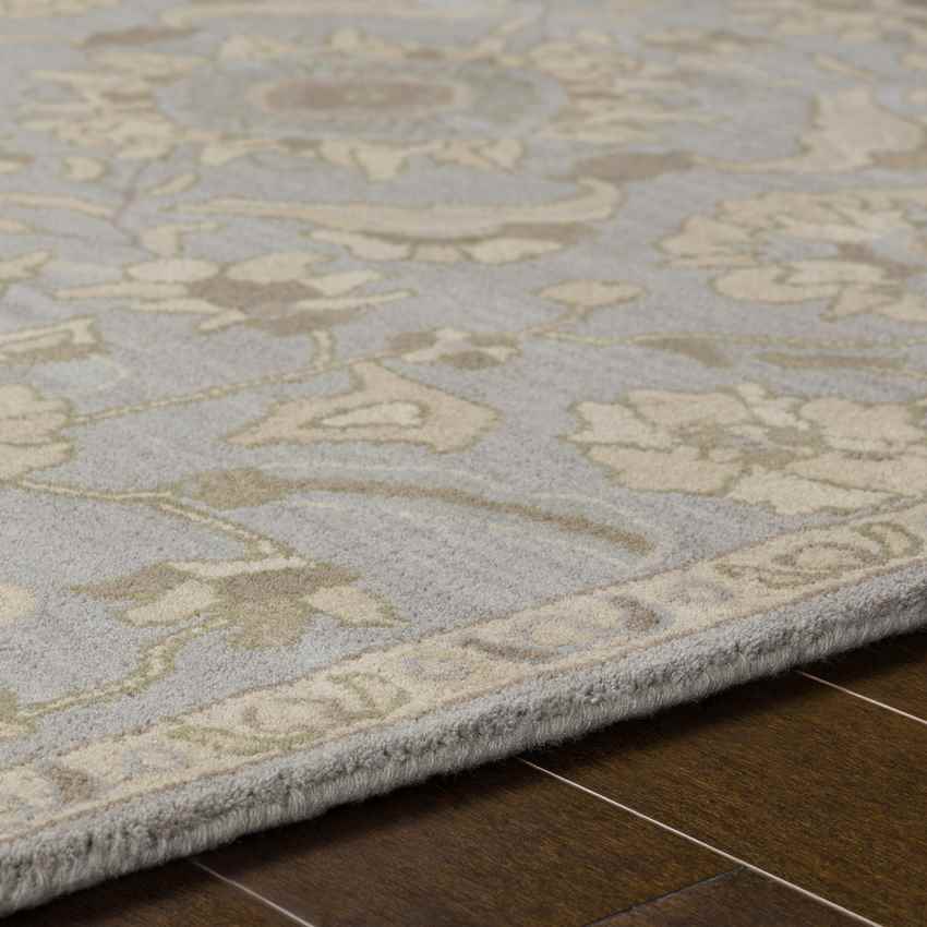 Caraquet Traditional Light Gray Area Rug