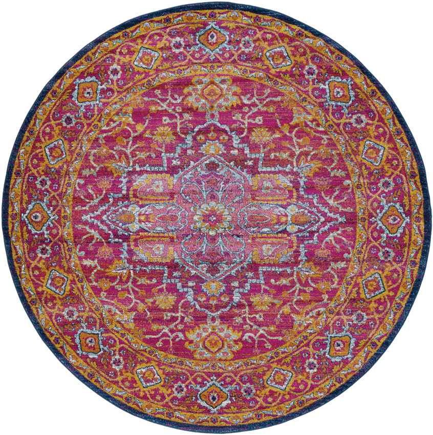 Aquaforte Traditional Garnet Area Rug