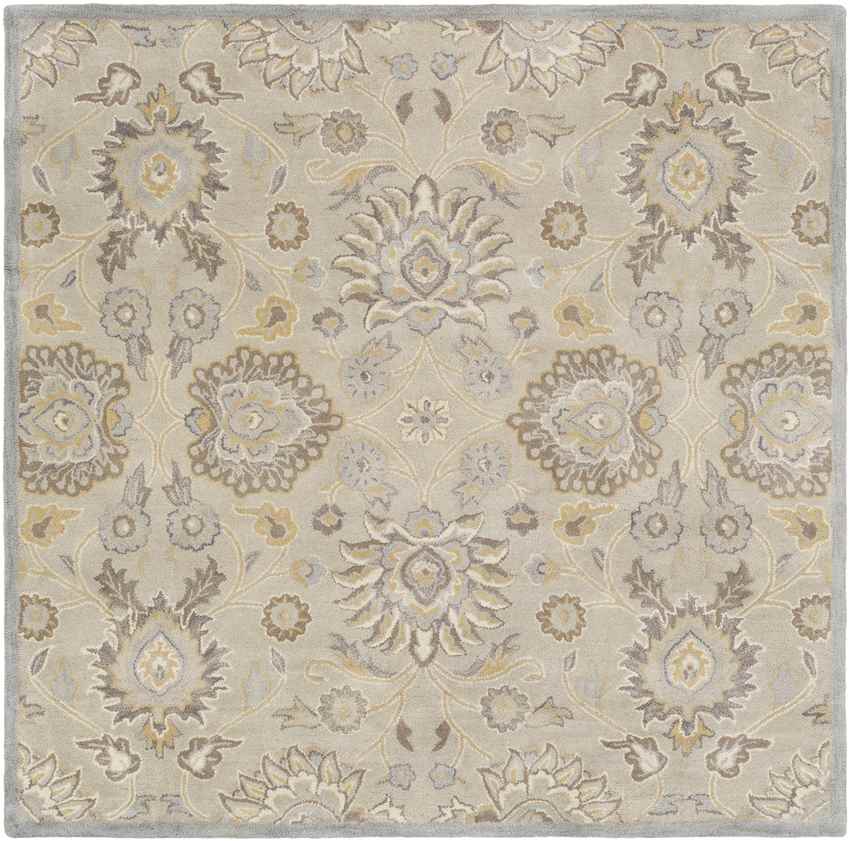 Eckville Traditional Light Gray Area Rug