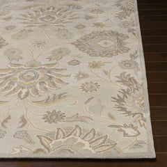 Eckville Traditional Light Gray Area Rug