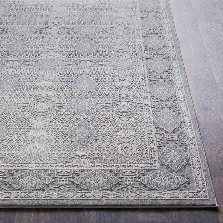 Paradise Traditional Taupe Area Rug