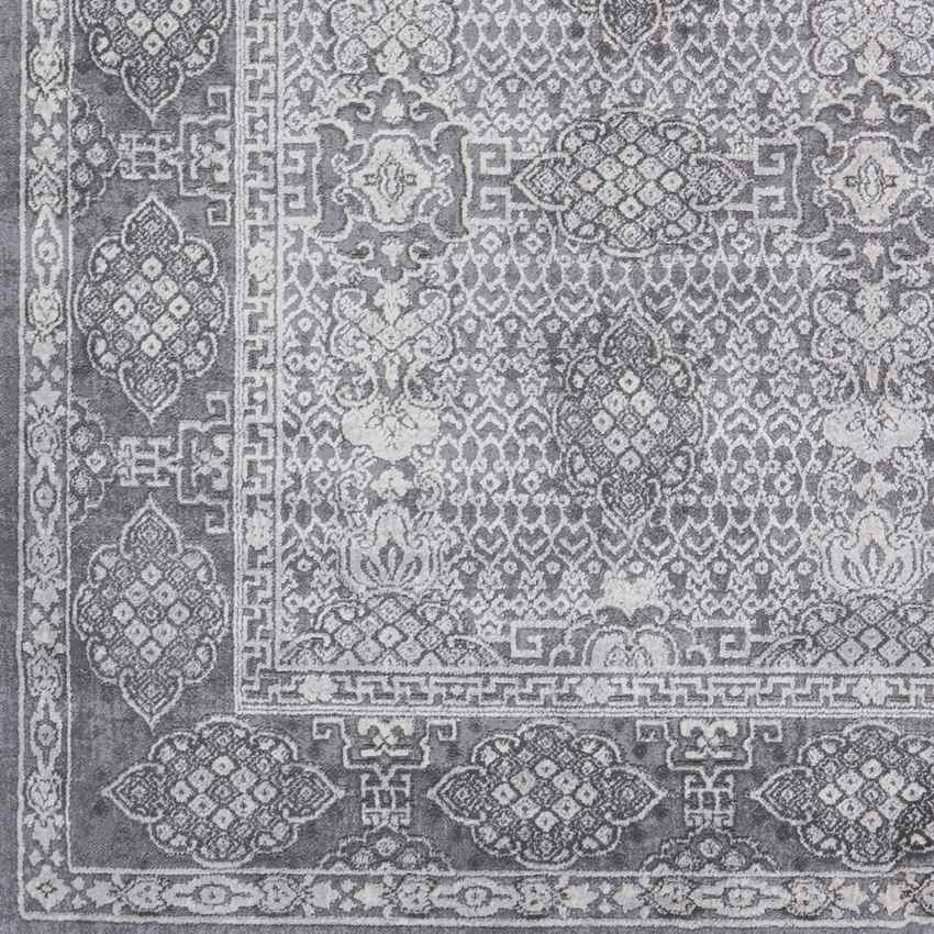Paradise Traditional Taupe Area Rug