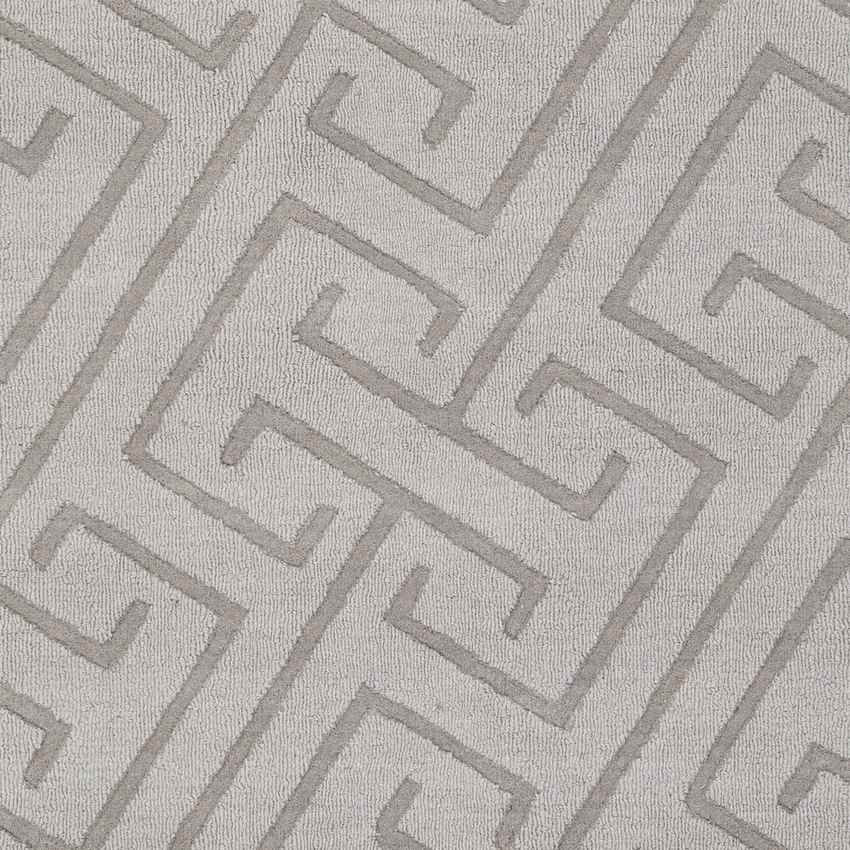 Kearney Modern Light Gray Area Rug
