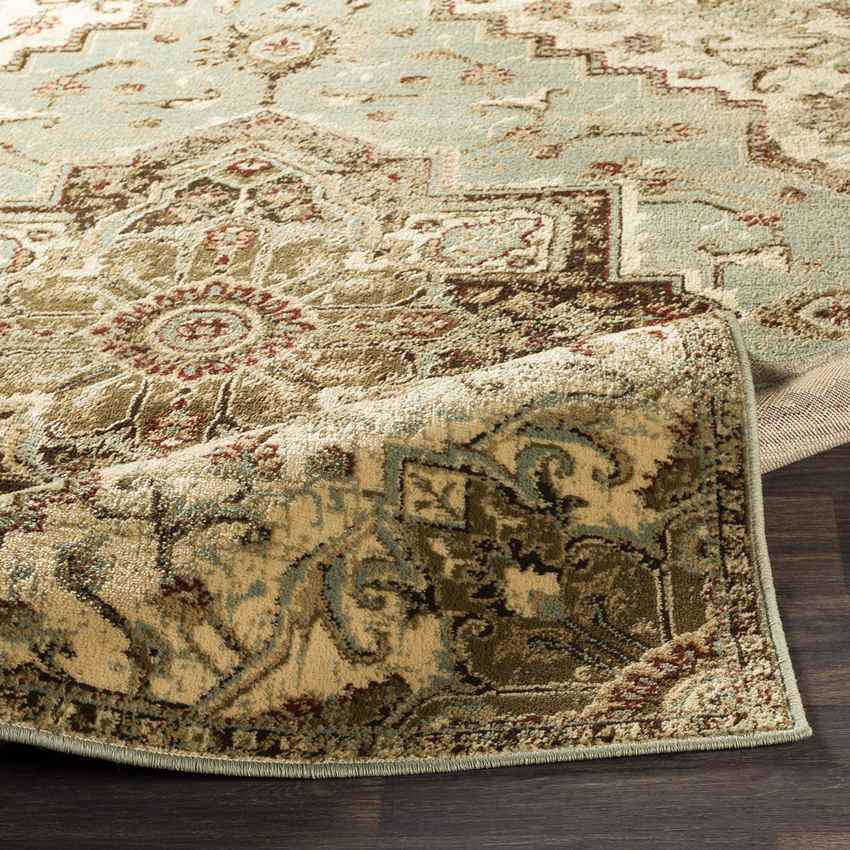 Osler Traditional Sage Area Rug
