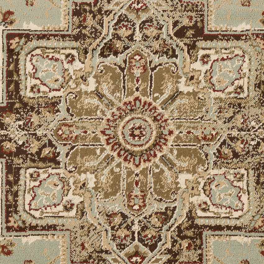 Osler Traditional Sage Area Rug