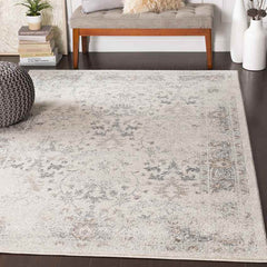 Harkezijl Traditional Charcoal Area Rug