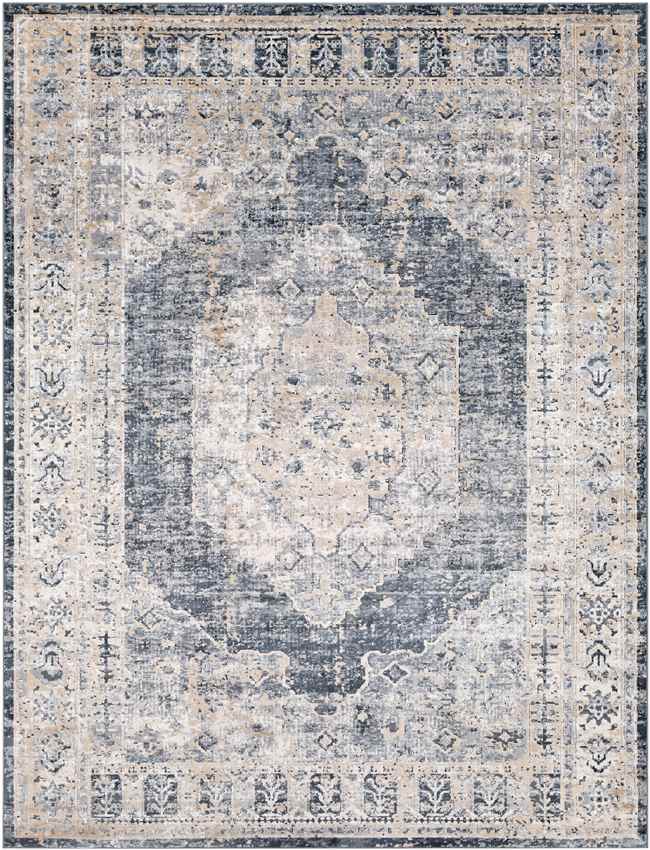 Paesens Traditional Taupe Area Rug