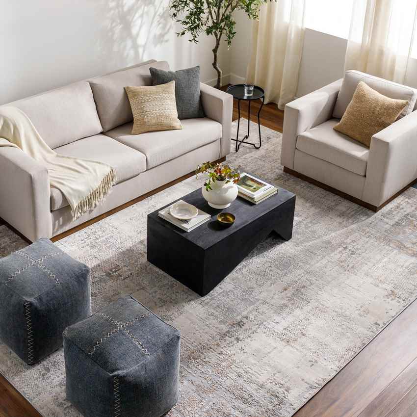 Polle Modern Light Gray Area Rug