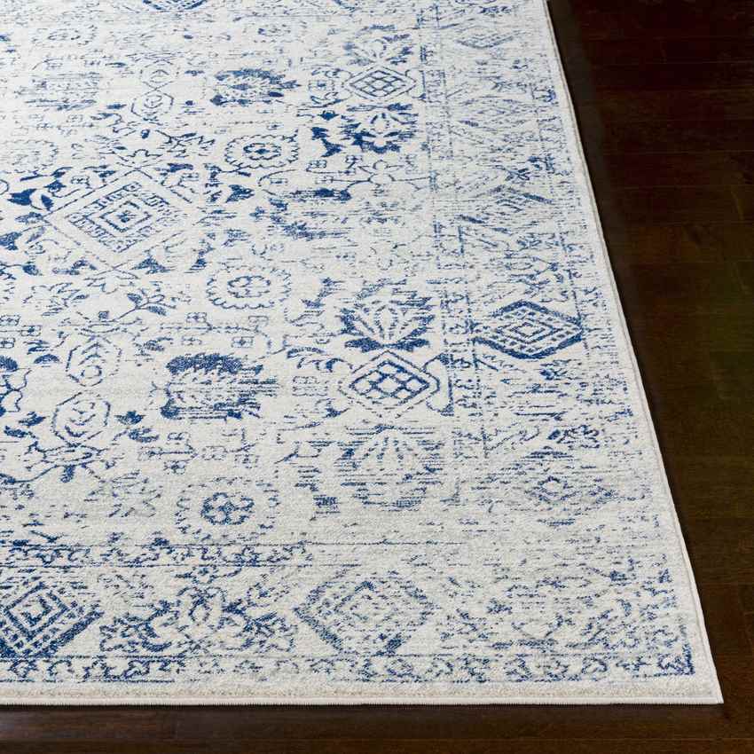 Schingen Traditional Bright Blue Area Rug