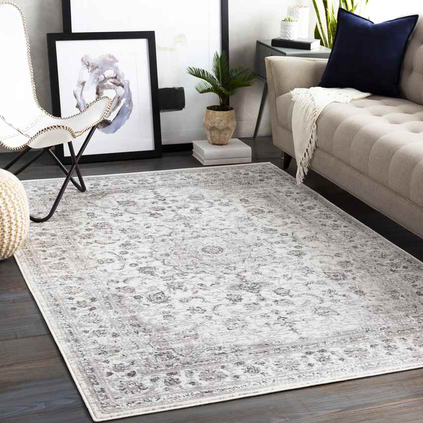 Terband Traditional Light Gray Area Rug