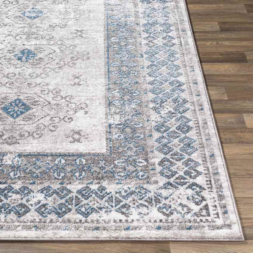 Terhorne Traditional Taupe/Blue Area Rug