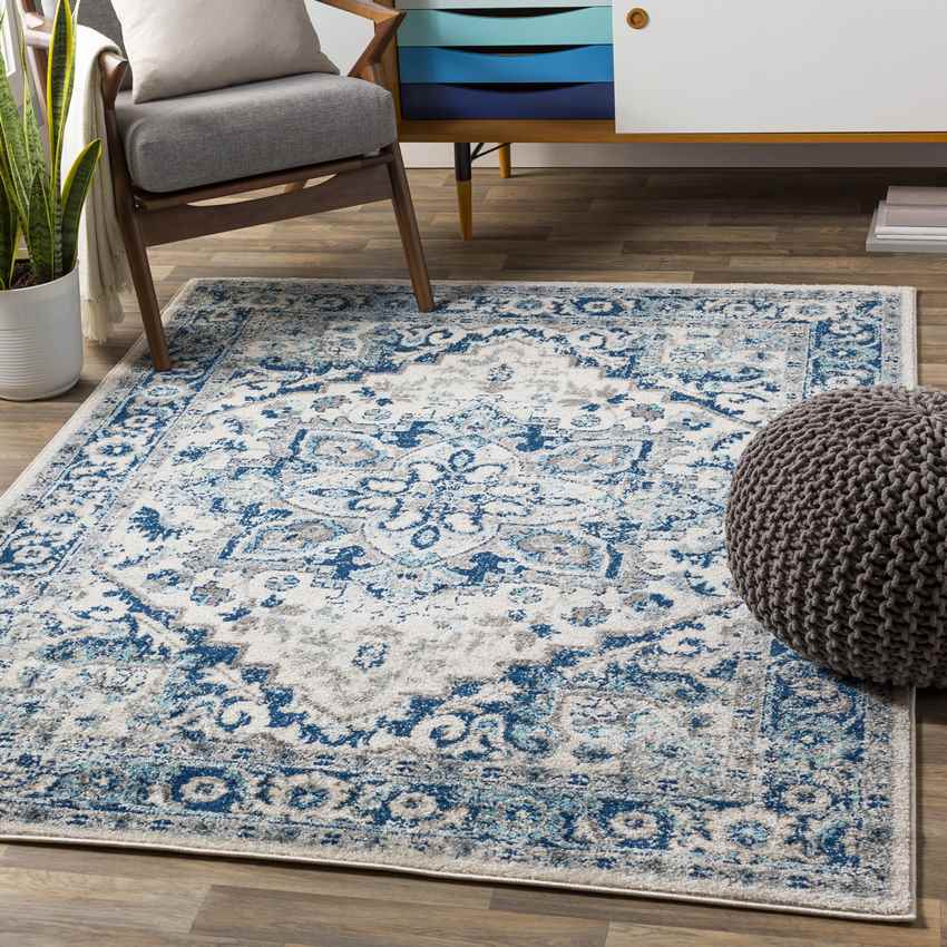 Cannock Traditional Aqua Area Rug