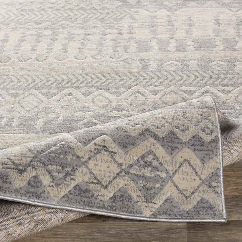Vijfhuis Global Light Gray Area Rug