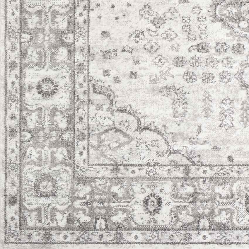 Workum Traditional Light Gray Area Rug