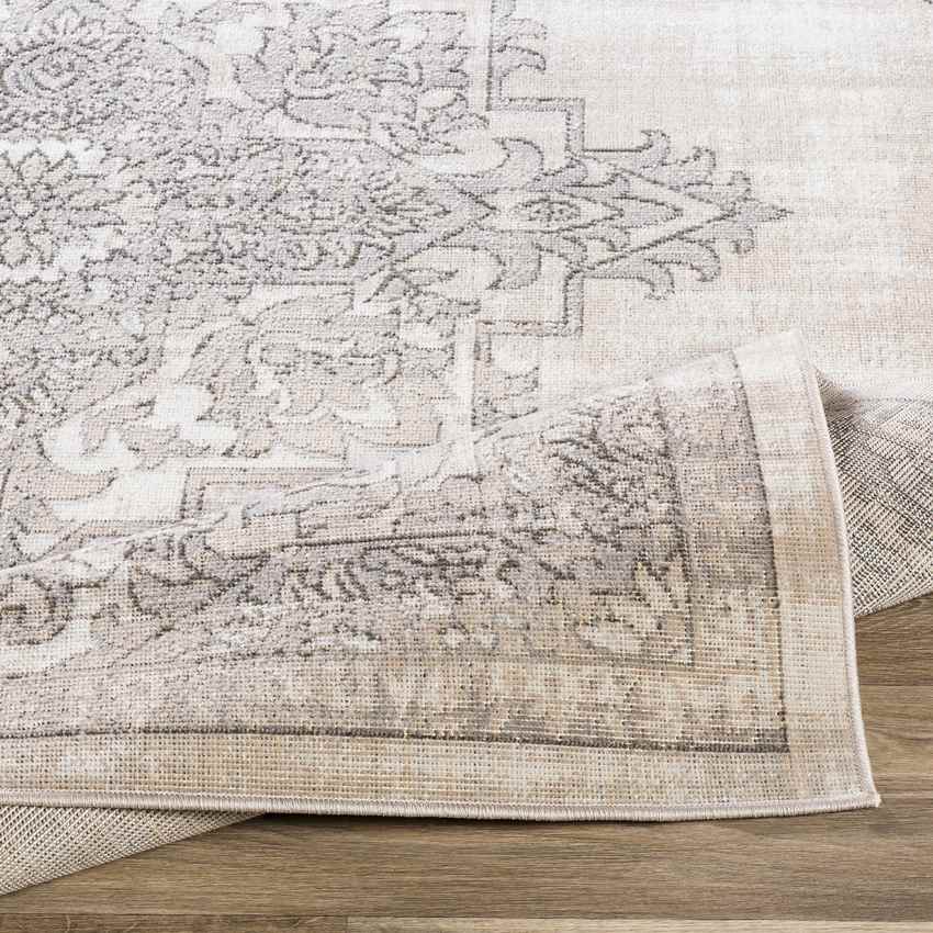 Dalerveen Traditional Light Gray Area Rug