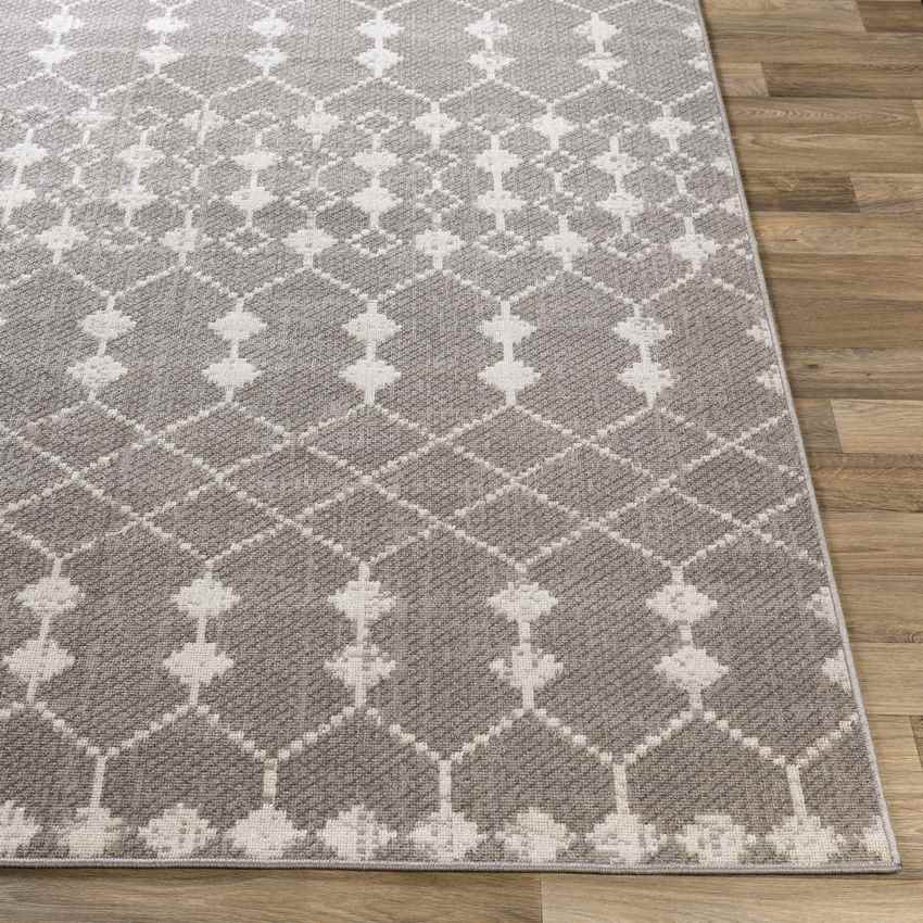 Donderen Global Light Gray Area Rug