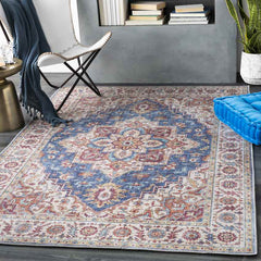 Landes Traditional Garnet Area Rug