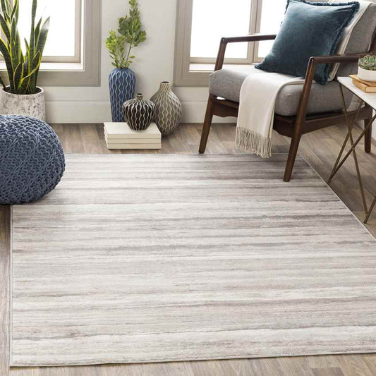 Ermerveen Modern Medium Gray Area Rug